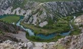 Naturparken velebit ett centrum for endemism