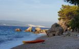 Kutlesa mimice beach