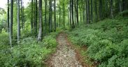 Naturparken ucka