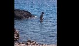 Fkk beach tomazevo krk kroatien